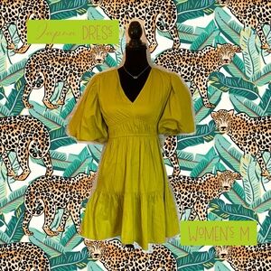 Mini Fitted Lime-green Japna Women's M dress NWT